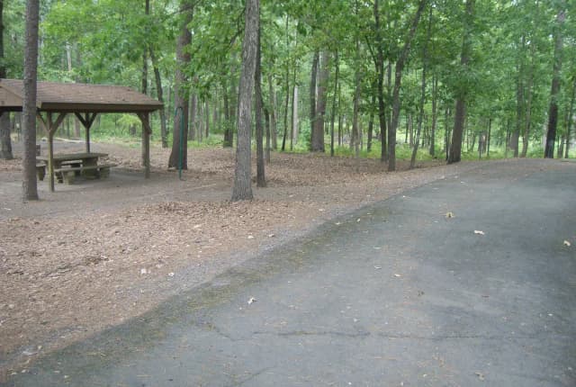 Quarry Cove Site #20