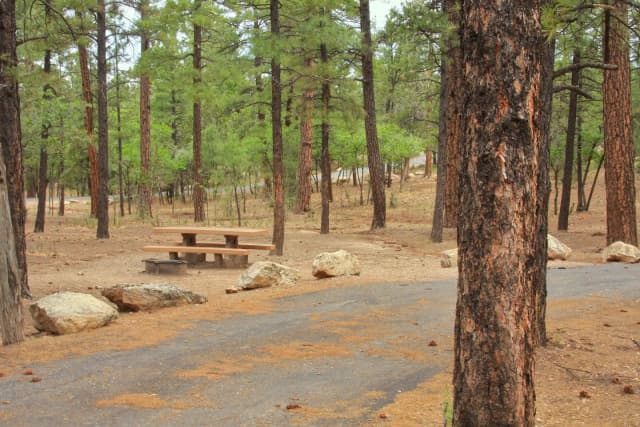 Picnic table, fire pit, and parking spot, Mather Campground