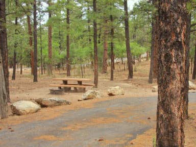 Picnic table, fire pit, and parking spot, Mather Campground