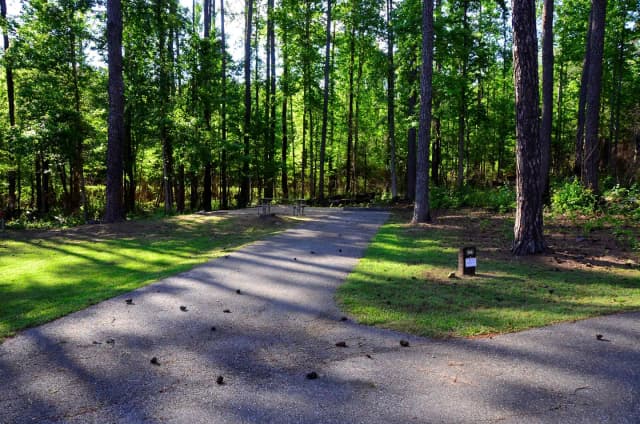 Sweetwater Campground Site 96