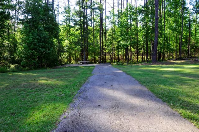 Sweetwater Campground Site 97