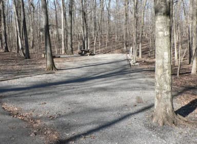 Preview of Site 46 of Loop Woods at CANAL