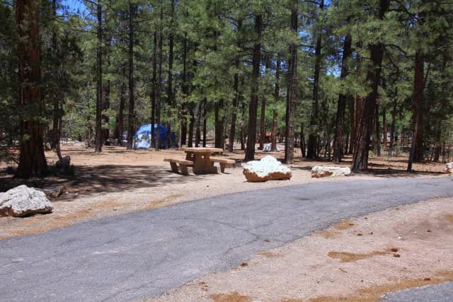Picnic table, fire pit, and parking spot, Mather Campground