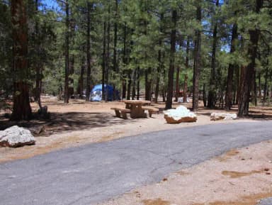 Picnic table, fire pit, and parking spot, Mather Campground