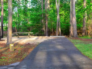 Sweetwater Campground Site 99