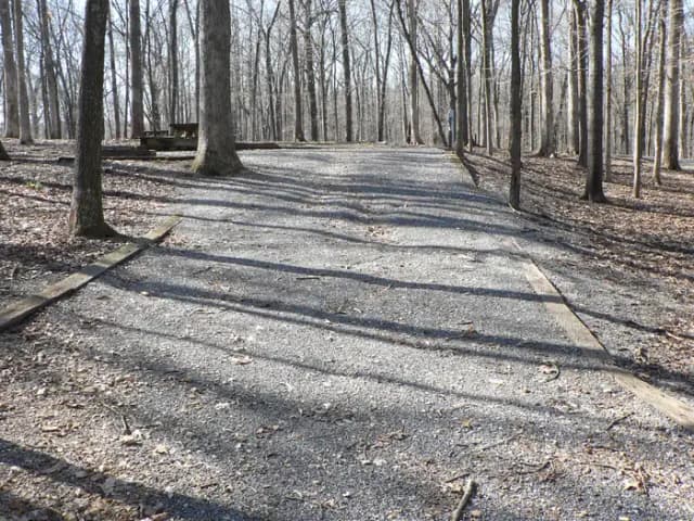 Preview of Site 47 of Loop Woods at CANAL