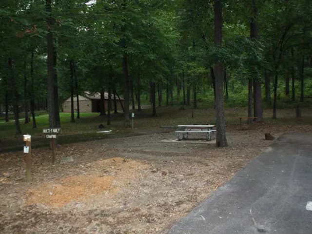 Campsite #1