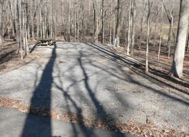 Preview of Site 48 of Loop Woods at CANAL