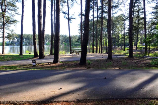 Sweetwater Campground Site 101