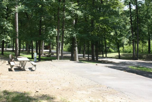 Loop RROA · Site 002 at River Road