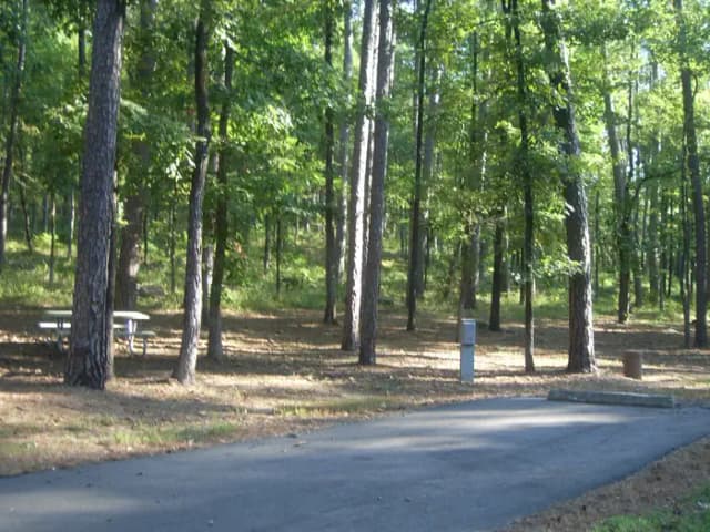 Loop RROA · Site 003 at River Road