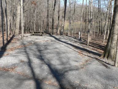 Preview of site 50 of Loop Woods at CANAL