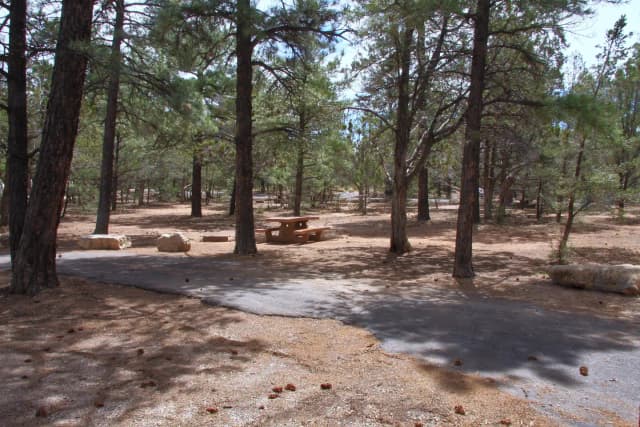 Picnic table, fire pit, and parking spot, Mather Campground