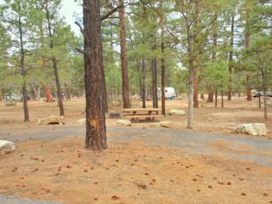 Picnic table, fire pit, and parking spot, Mather Campground