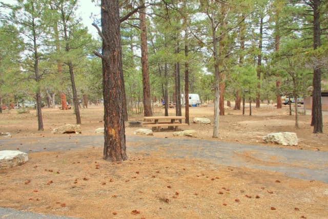 Picnic table, fire pit, and parking spot, Mather Campground
