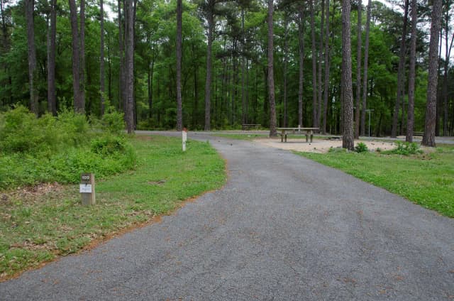 Sweetwater Campground Site 109