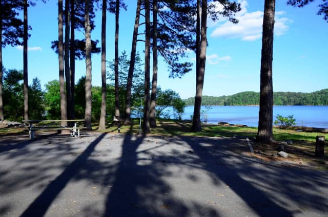 Sweetwater Campground Site 113