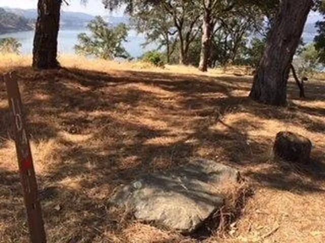 Site B104 at Bushay Recreation Area
