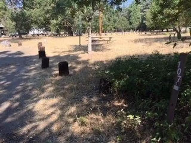 Site B107 at Bushay Recreation Area
