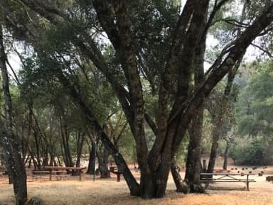An image the agency filed against 10 campsites at Bushay Recreation Area