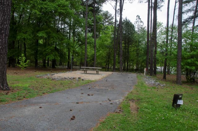 Sweetwater Campground Site 116