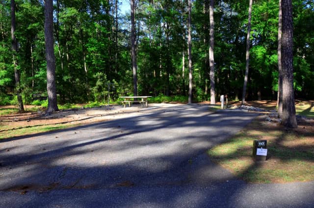 Sweetwater Campground Site 117