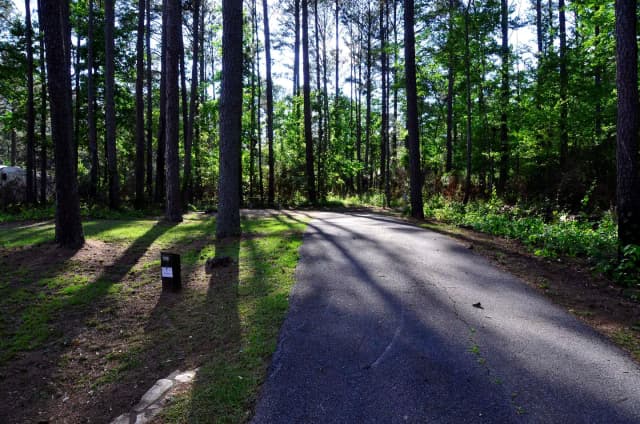 Sweetwater Campground Site 119