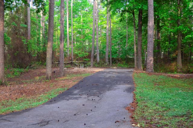 Sweetwater Campground Site 120
