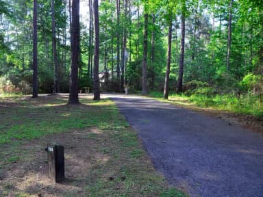 Loop SCG · Site 124 at Sweetwater Campground