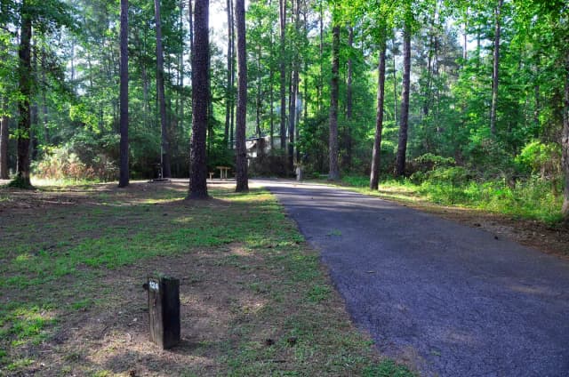Sweetwater Campground Site 124