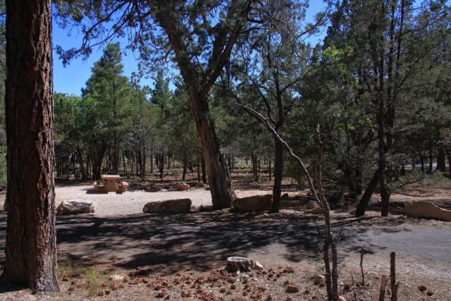 Picnic table, fire pit, and parking spot, Mather Campground