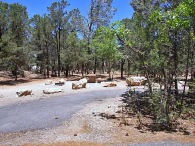 Picnic table, fire pit, and parking spot, Mather Campground