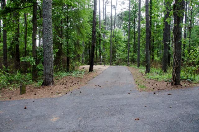 Sweetwater Campground Site 131
