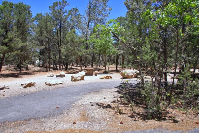 Picnic table, fire pit, and parking spot, Mather Campground