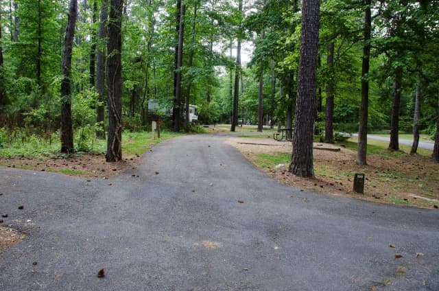 Sweetwater Campground Site 133