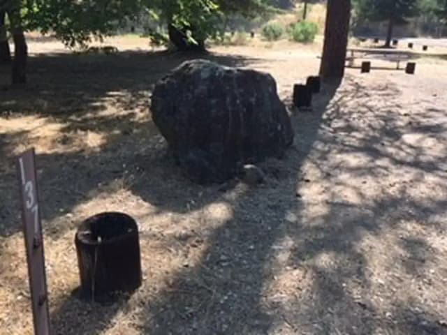 Site B137 at Bushay Recreation Area