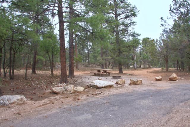 Picnic table, fire pit, and parking spot, Mather Campground