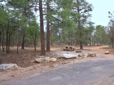 Picnic table, fire pit, and parking spot, Mather Campground