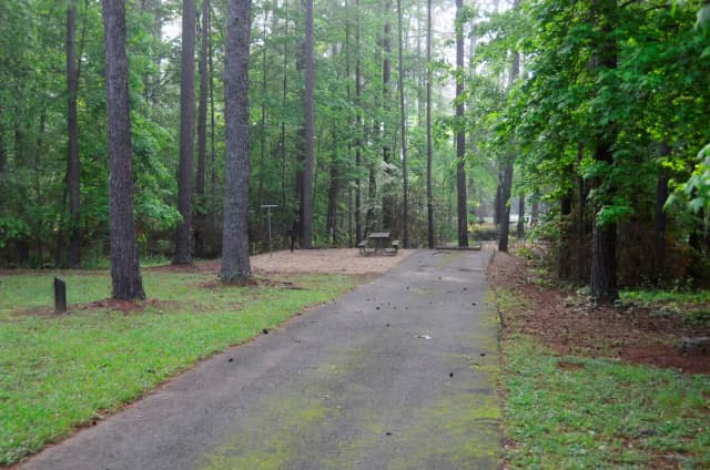Sweetwater Campground Site 146