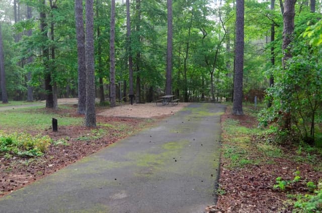 Sweetwater Campground Site 147