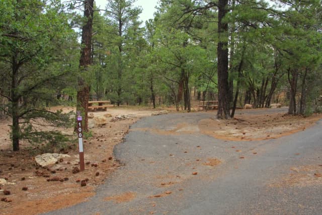 Picnic table, fire pit, and parking spot, Mather Campground