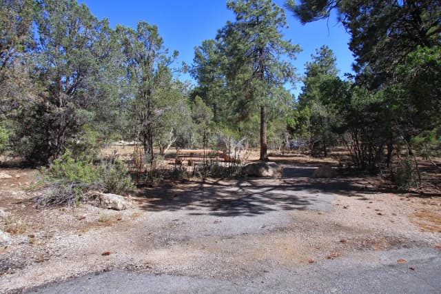 Picnic table, fire pit, and parking spot, Mather Campground