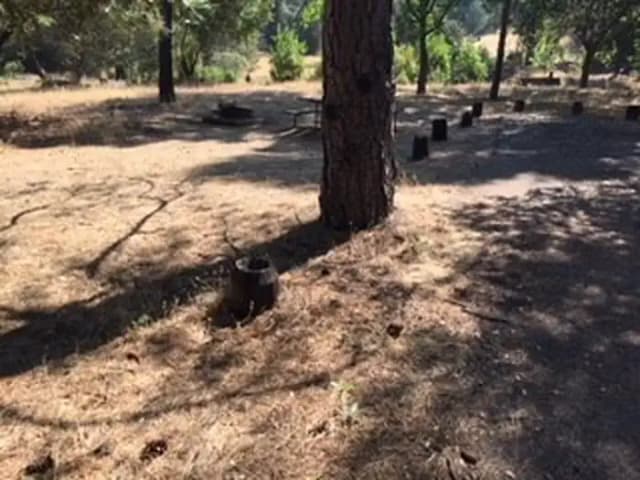 Site B142 at Bushay Recreation Area