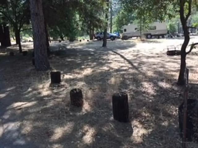Site B145 at Bushay Recreation Area