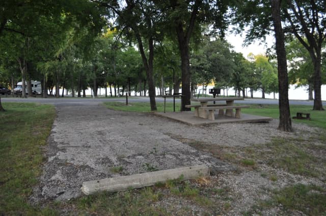 Blue Bill - Site 17