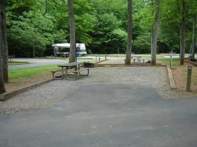 Site 29