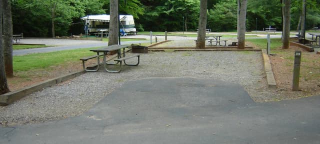 Site 29