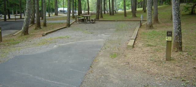 Site 31