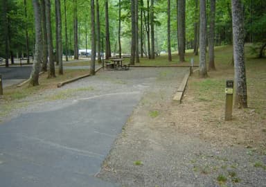 Site 31