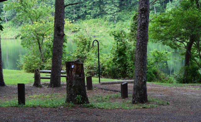 LOGGERS LAKE SITE 06